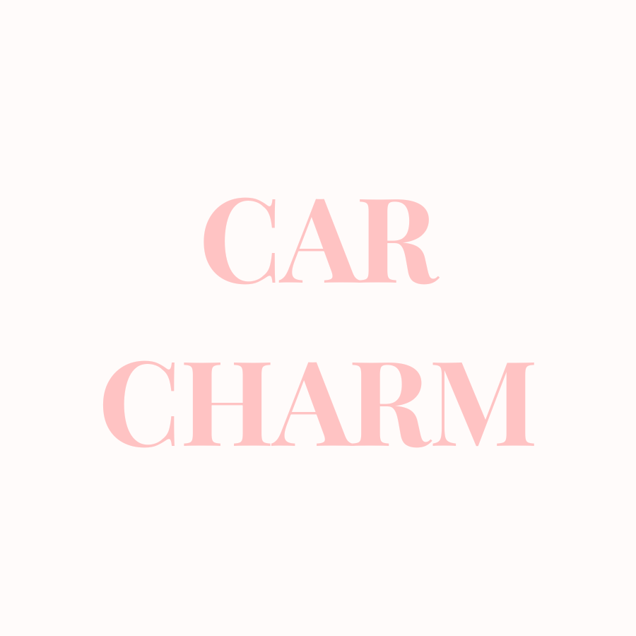 $30 Car Charm