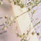 The Benedict Bookcase Bookmark